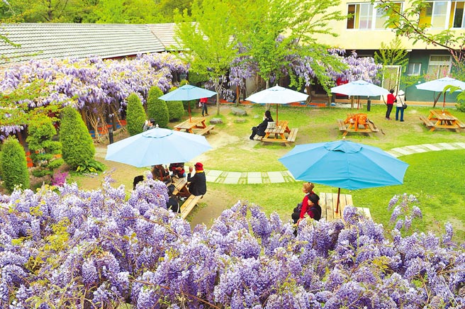 礁溪晶泉丰旅携手武陵富野渡假村，春泡暖汤、赏紫藤3天2夜只要8,999元起。图／礁溪晶泉丰旅提供