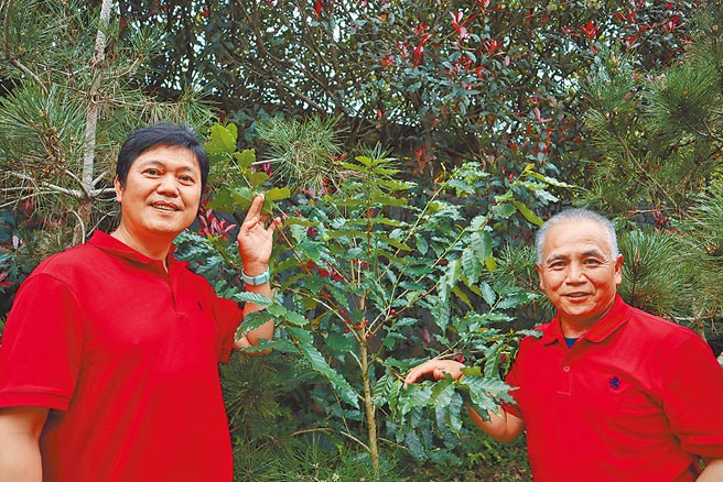 马武督咖啡生产合作社社长宋明光（左）与金山社区发展协会理事长罗政宏一同为在地咖啡产业尽心力。（邱立雅摄）