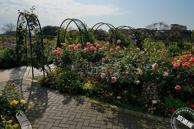 臺北玫瑰園 IG、FB「玫」拍七大攻略。(旅遊經提供)