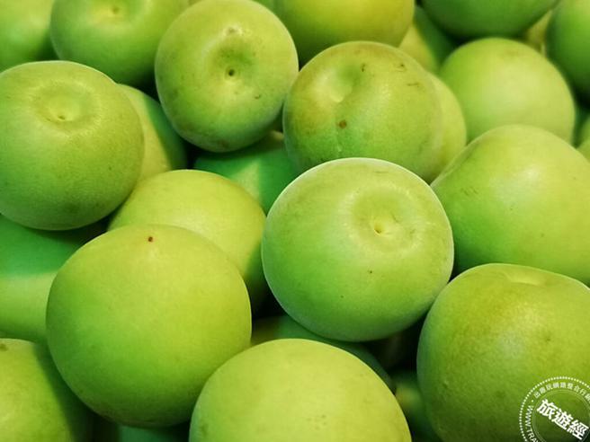 正值青梅时期。(旅游经提供)