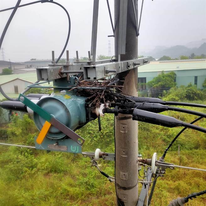 At 10:21 this morning, there was a power outage in 887 households in the large community. Taipower dispatched personnel to investigate and repair it and found that the bird's nest was the fault. After emergency repairs, the power was restored at 11:09.  (provided by Taipower)