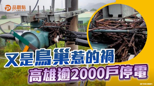 品观点│鸟巢树枝掉落碰触 馈线跳脱凤山、大社部份地区又停电。（图／品观点）