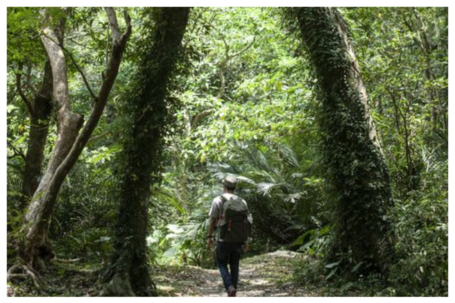 屏东县长潘孟安分享屏东10条美丽登山步道。（图片摘自潘孟安脸书）