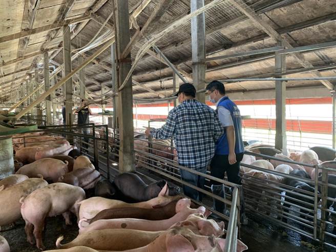 云林县新设置畜牧场管理自治条例最近将进行第三次修正。（本报资料照片）