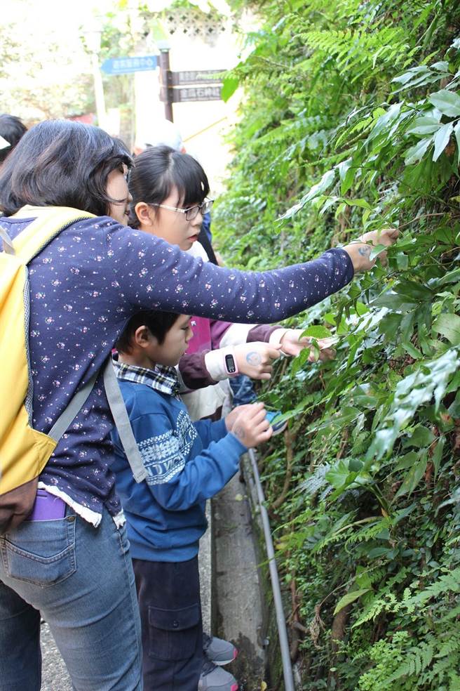 黃金博物館兒童節連假推出「小礦工的休閒時間」系列活動。（黃金博物館提供）