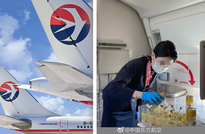 一名東航空姐的丈夫表示，妻子在該失事班機執飛十年，今天也有執飛。圖為示意圖，非當事人。（圖／達志影像、東航官方微博）