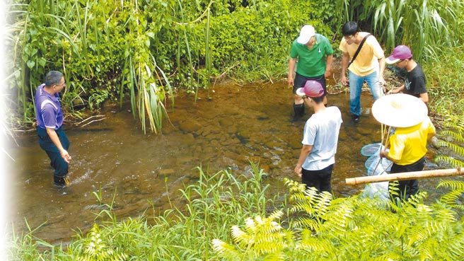 嘉义市东区圳头里精忠社区成员踏查里内自然生态资源。（精忠社区发展协会提供／廖素慧嘉市传真）