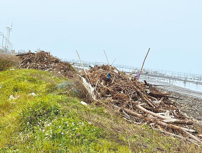 彰化县伸港海岸净滩后，大批垃圾堆积成山，议员赖清美呼吁尽速载走，下周锋面到，届时大雨、刮风又衝入海，岂不是白做工。（赖清美提供／吴敏菁彰化传真）