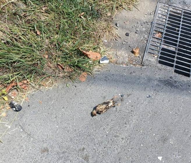 近日各地频传停电事故，台电解释是鸟及松鼠误触，高检署要求检察机关查清楚。（本报资料照片）