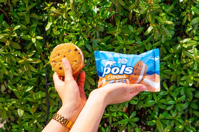 保羅熊曲奇餅香草冰淇淋。（圖／品牌提供）