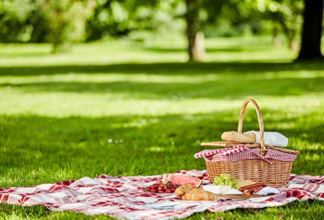 原PO在公园搭帐篷被制止。(图/翻摄自dreamstime)
