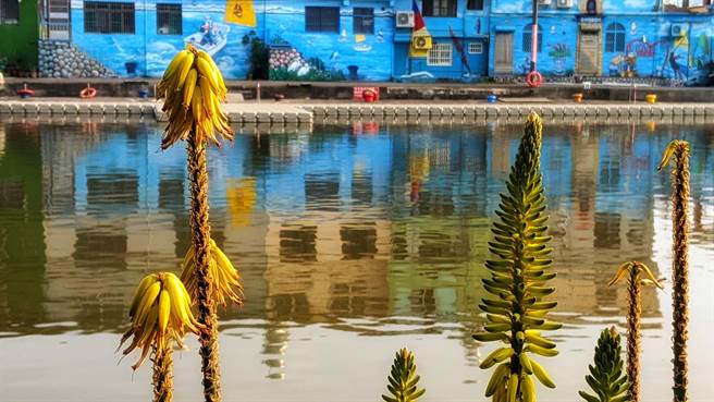 宋永泰用手機拍下「小威尼斯」之稱的汕尾漁港。（台灣攝影師-手機達人宋永泰提供／洪靖宜高雄傳真）