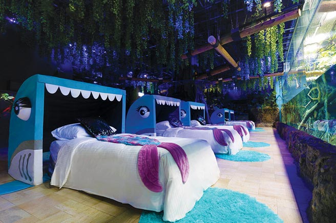 COZZI Blu和逸饭店．桃园馆携手横滨八景岛都会型水生公园Xpark推出「宿海奇遇Blu Night」一泊三食套装专案，旅客可在「雨林探险」睡区内，体验野外宿营的仿真感。图／国泰饭店观光事业