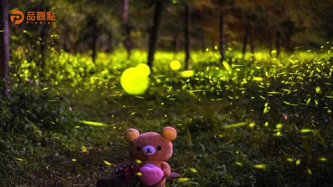 品观点｜那玛夏赏萤季开跑 走出户外吸收山间芬多精 感受夜间精灵的魅力（图/品观点提供）