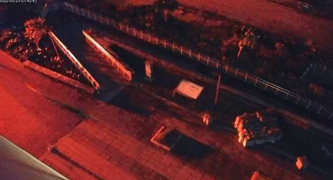 地震发生当下，有野狗吓到狂奔。(翻摄自YouTube)