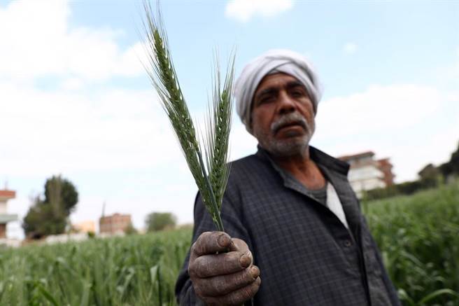 俄乌衝突爆发以来，全球粮食价格持续走高。（摘自新华社）