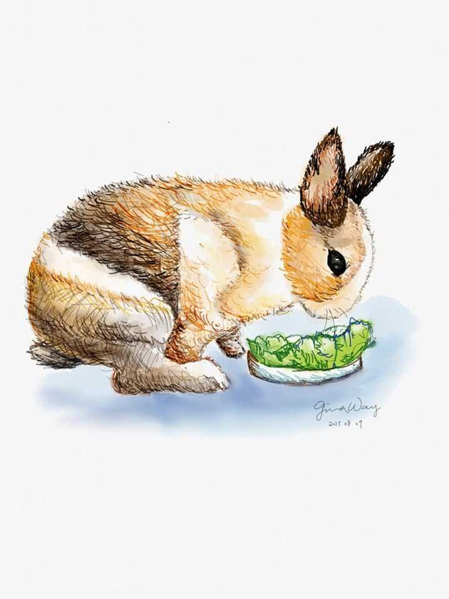 飼主手繪14歲道奇兔畫像。(圖/卡布媽媽授權)