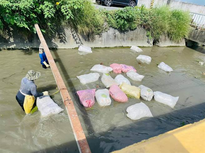 去年和美月眉大排进行清淤作业，赖清美将照片公布脸书，质疑打捞做法，事后遭赏商呛声。（赖清美提供／吴敏菁彰化传真）