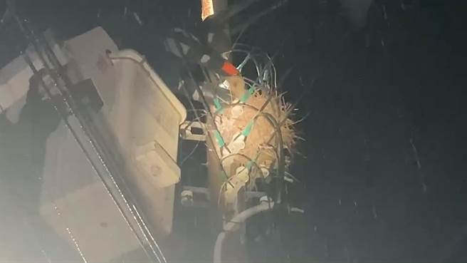 台電人員漏夜冒雨將鳥巢移除。（翻攝照片／李京昇苗栗傳真）