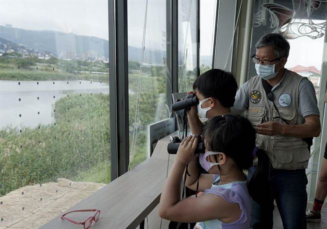 社子岛湿地开放报名志工，体验湿地生态。（图／北市工务局提供）