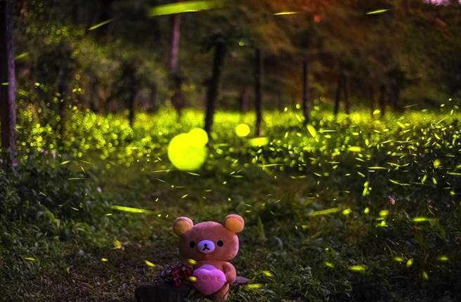 高雄市那玛夏赏萤即起开跑，玛夏区公所推出「2022萤光游戏—萤向那玛夏」活动至4月底，可望带动一波旅游潮。（高市观光局提供）