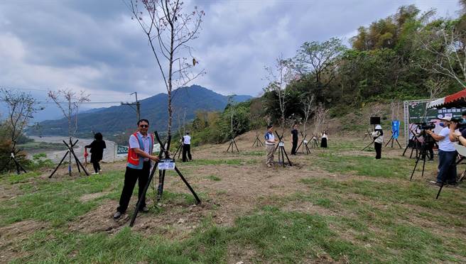 高雄那玛夏赏萤季即起开跑，有企业携手那玛夏区公所种下600棵吉野樱于那玛夏区吉巴谷樱花公园。（柯宗纬翻摄）