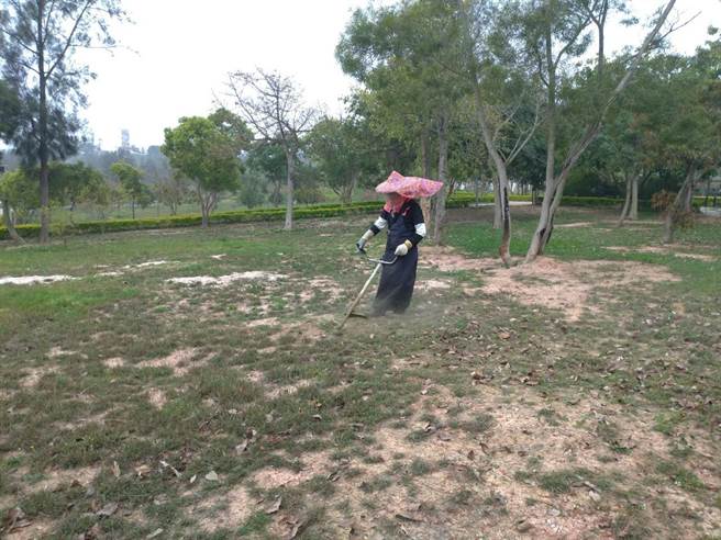 清明连假将至，金门县环保局提醒乡亲扫墓勿用除草剂，可採用割草机的机械除草方式。（金门县环保局提供）