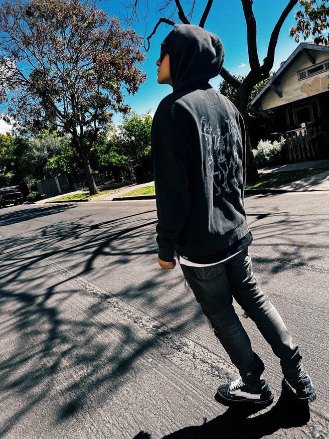  小豬新副業擔任藝術總監。（Instagram@nftlionheart提供）