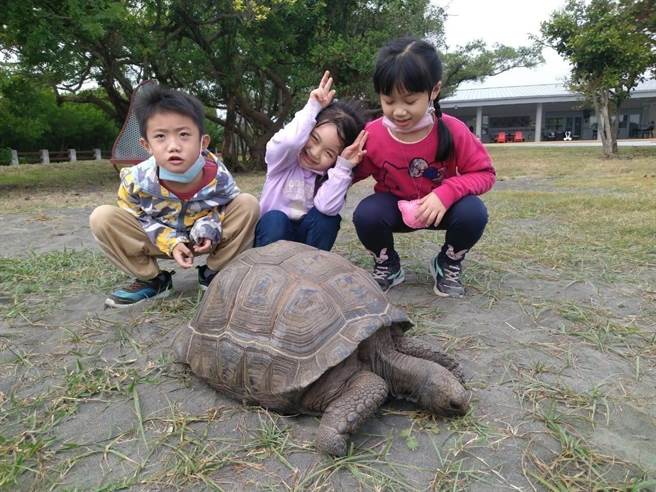 東港鵬村溼地「村長」大爆紅，不僅熟客指名要找牠，連頭回客也因牠變成回頭客。（謝佳潾攝）