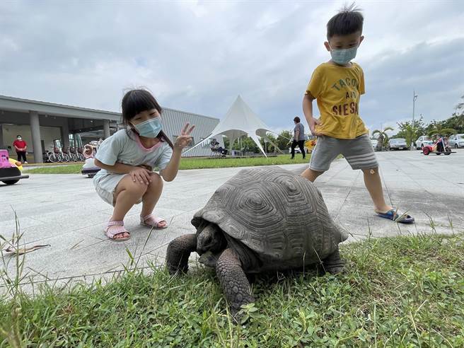 東港鵬村溼地「村長」大爆紅，不僅熟客指名要找牠，連頭回客也因牠變成回頭客。（謝佳潾攝）