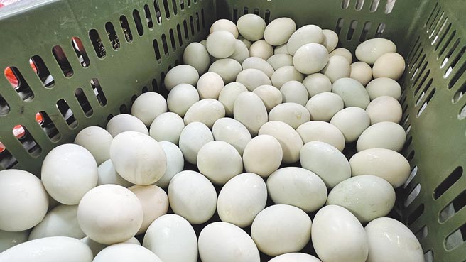 近来饲料成本上涨，连带影响到蛋鸭产业，台南鸭蛋产地收购价每台斤飙到40元。（张毓翎摄）