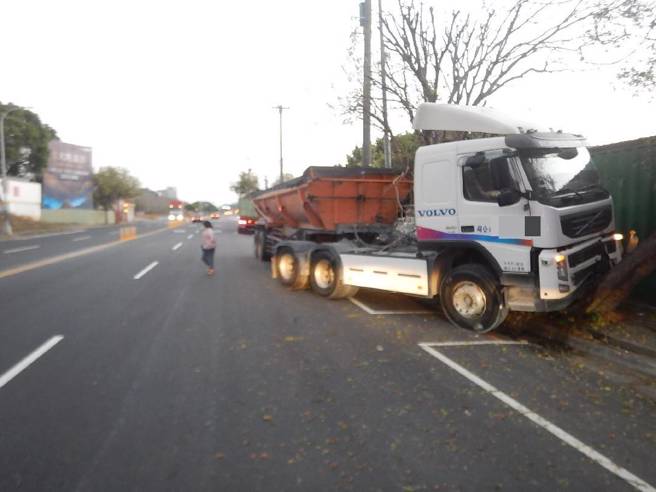 恐怖！砂石车司机遭红火蚁咬伤突昏迷 自撞路树急送医。(戴志扬翻摄/民眾提供)