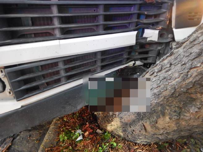 恐怖！砂石车司机遭红火蚁咬伤突昏迷 自撞路树急送医。(戴志扬翻摄/民眾提供)