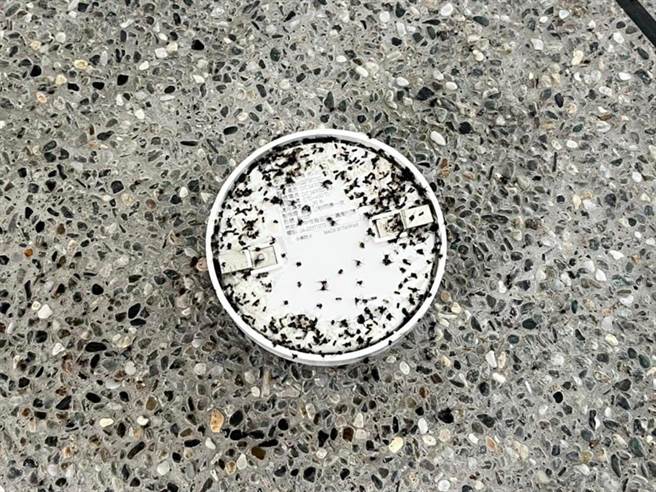 近日地震频传搞得民眾人心惶惶，深怕深夜地震来袭辗转难眠，前天凌晨4点多，爱兰国小附近居民被震耳欲聋的警铃声惊醒。（翻摄邱国峰脸书／吴建辉南投传真）