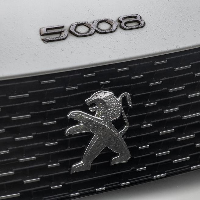 水箱护罩上的品牌图腾。（陈大任摄）