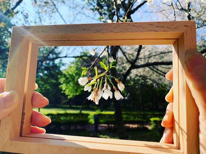 中心教师将带领大家用不同的方式探索奥万大森林游乐区，依梯次不同会有不同主题，活动像是手作天然花果茶，原民部落猎人体验等。(教育中心提供／吴建辉南投传真)