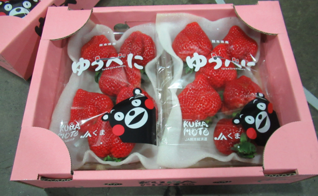 日本草莓屢出包卻不禁，陳時中表示廠商自己要注意。（圖／食藥署提供）