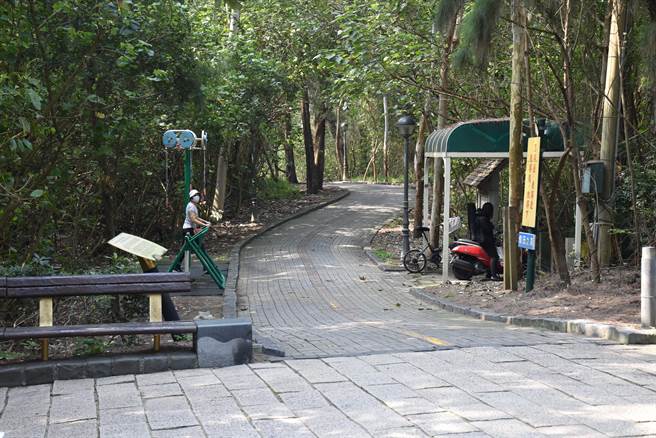 竹南镇海岸森林间步道，是紫斑蝶重要栖地与繁殖场。（谢明俊摄）