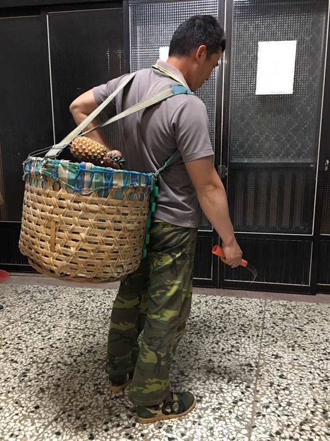 農民示範採收鳳梨的姿勢，可能是造成肩膀疼痛的原因。（南基醫院提供／廖志晃南投傳真）
