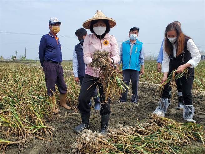 云林县长张丽善（左三）今到东势乡聆听蒜农心声。（周丽兰摄）
