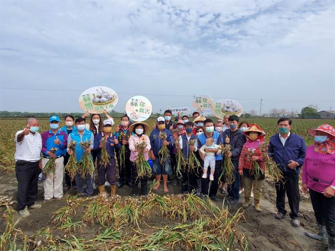 蒜农希望中央不要再循往例补助蒜商3元採购，要补助农民才有用，让农民心血可以回收。（周丽兰摄）