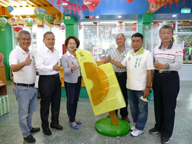 民進黨5連霸高雄巿議員林宛蓉（左三）宣布棄選。（高雄巿議會提供）