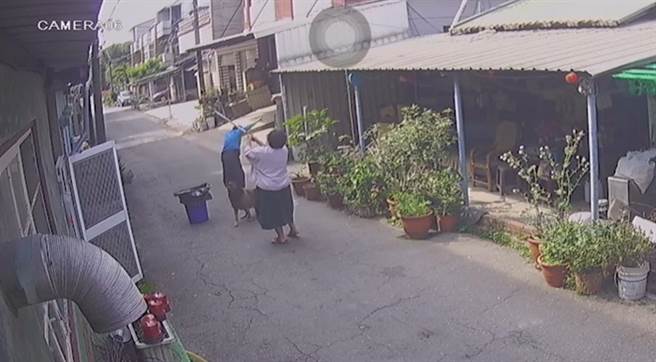 監視器拍下逗趣的抓蛇畫面。（黃姓女子提供／張亦惠嘉縣傳真）