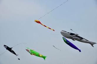 全台最壯觀「鯨奇之旅」 桃園國際風箏節中庄嶄新登場