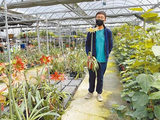 台東青農外銷花卉受阻 成烏俄戰爭間接受害者