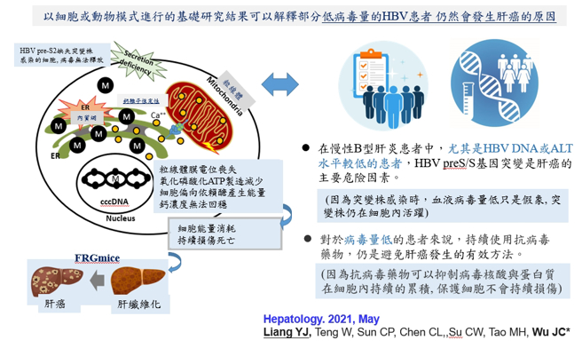 低量HBV(B型肝炎病毒)患者仍会导致肝癌的原因。(资料来源/国立阳明交通大学临床医学研究所)