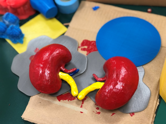 器官捐赠后可利用3D列印填补大体，维持外观。（北医大提供）