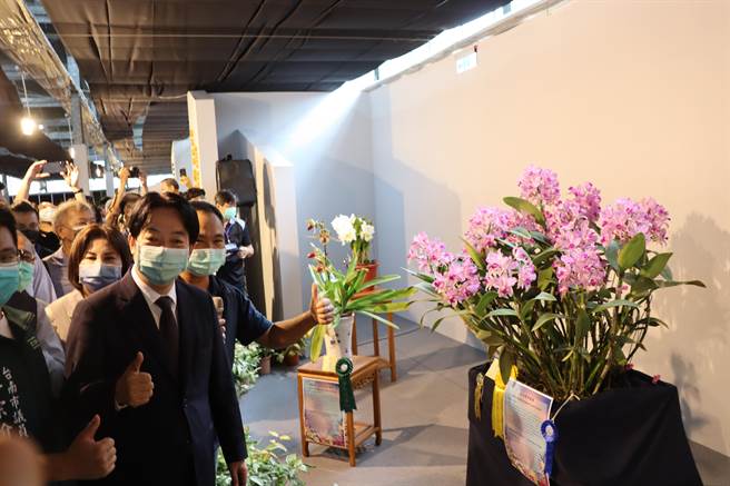 副總統賴清德參觀蘭展競賽蘭得獎蘭花。（劉秀芬攝）