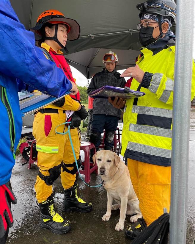 领犬员郑莛芸带领Aka通过高级检测。（郑莛芸提供／洪靖宜高雄传真）
