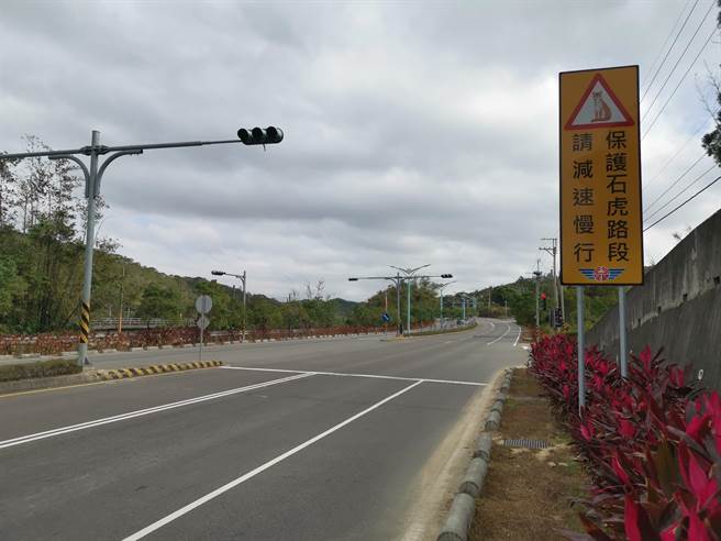 台13甲造橋段區間測速是為保護石虎而設置。（謝明俊攝）